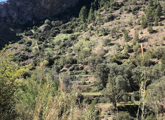 morocco/moulouya/attraction/aman-yahman-douayer