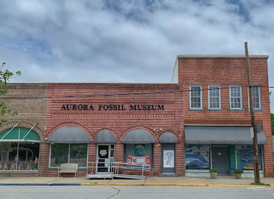 north-carolina/coastal-plain/attraction/aurora-fossil-museum