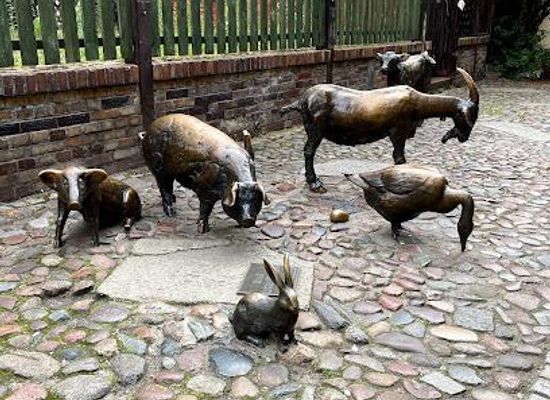 poland/wroclaw/attraction/jatki