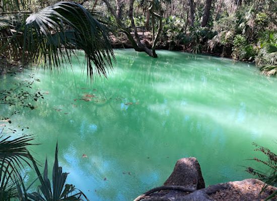 florida/juniper-springs-recreation-area/attraction/green-springs-park