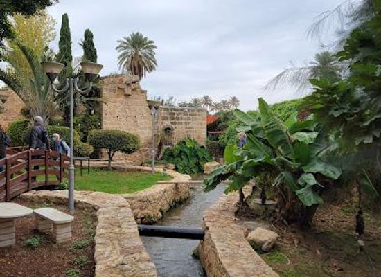 jordan/dead-sea/attraction/ein-el-sultan-spring