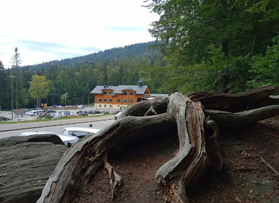germany/upper-palatinate/attraction/waldkugelbahn-am-grossen-arbersee