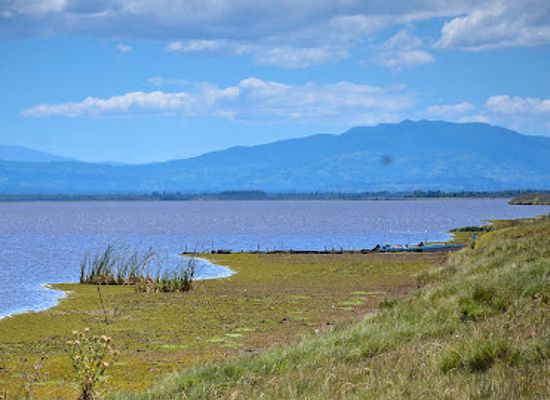kenya/nyandarua-range/attraction/lake-olbolosat