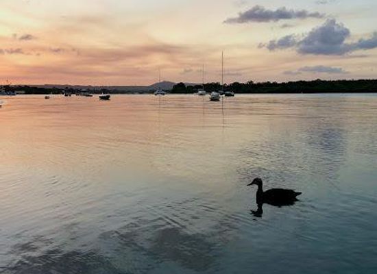 australia/noosa/attraction/noosaville