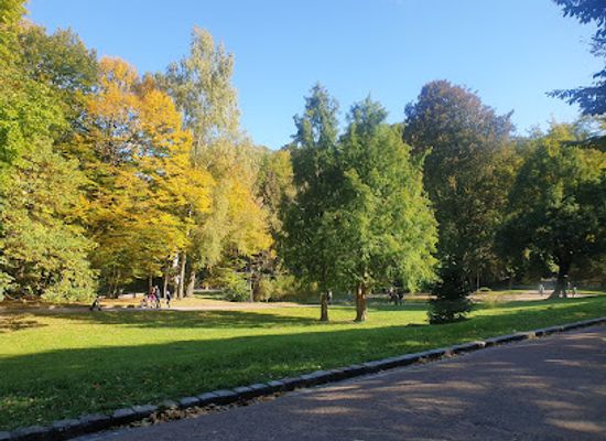 ukraine/lviv/stryiskyi-park/attraction/stryiskyi-park