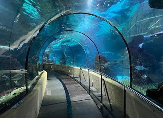 spain/barcelona/attraction/aquarium-barcelona