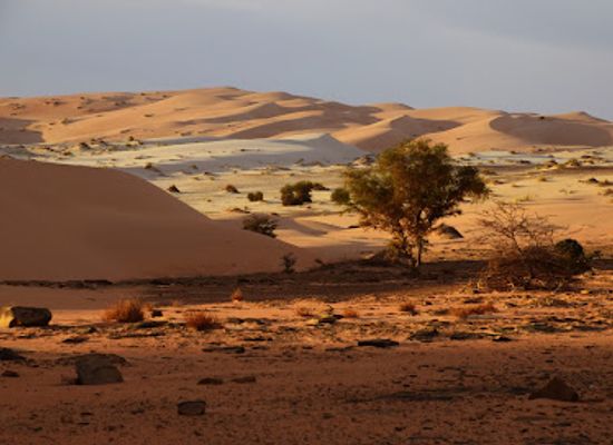 mauritania/chinguetti/attraction/hassi-ould-taleb