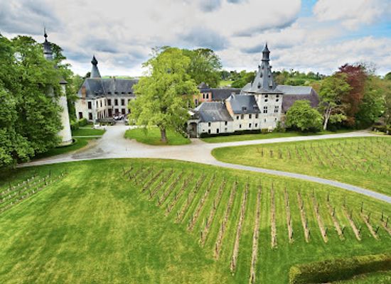 belgium/condroz/attraction/chateau-de-bioul
