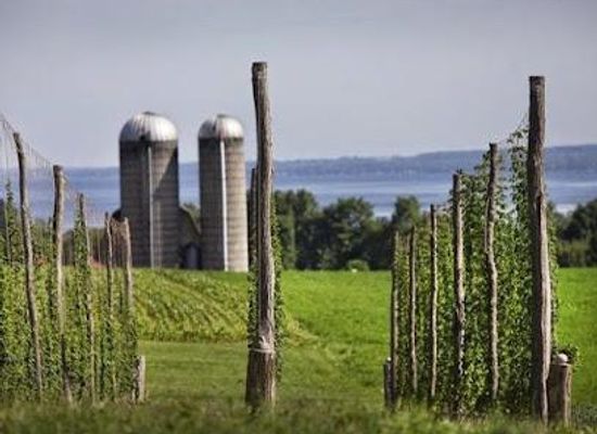 new-york/finger-lakes/attraction/climbing-bines-hop-farm-brewery