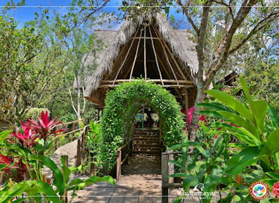 mexico/lacandon-jungle/attraction/aramacao-las-guacamayas