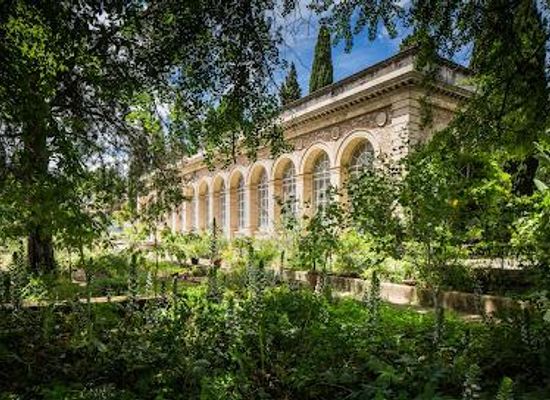 france/montpellier/attraction/jardin-des-plantes-de-montpellier