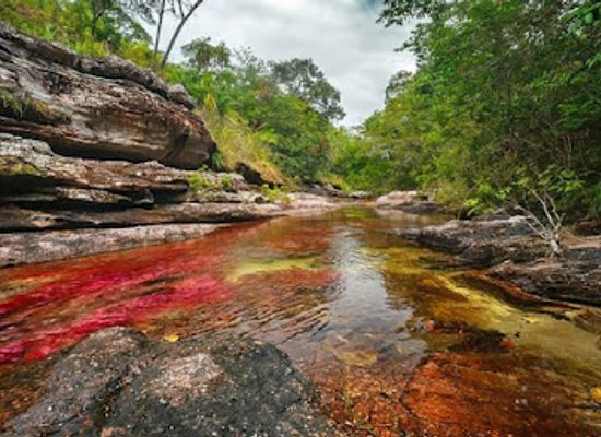 colombia/cano-cristales/attraction/cano-cristalitos