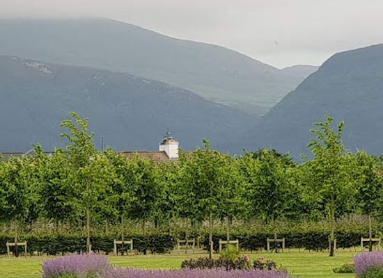 ireland/killarney/attraction/killarney-house-community-site