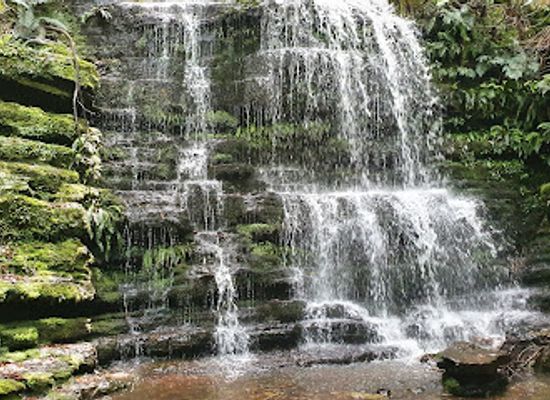 australia/mount-field-national-park/attraction/myrtle-gully-falls