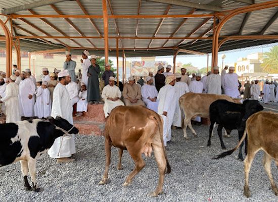 oman/nizwa/attraction/souq-al-aghnam