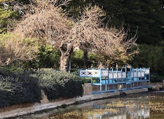 israel/safed/attraction/ridvan-garden-baha-i-holy-place