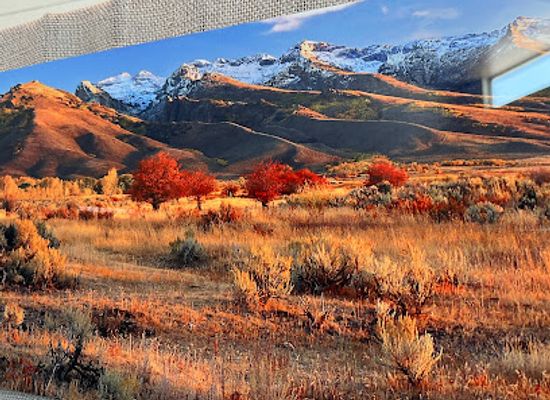 nevada/ruby-mountains/attraction/northeastern-nevada-museum
