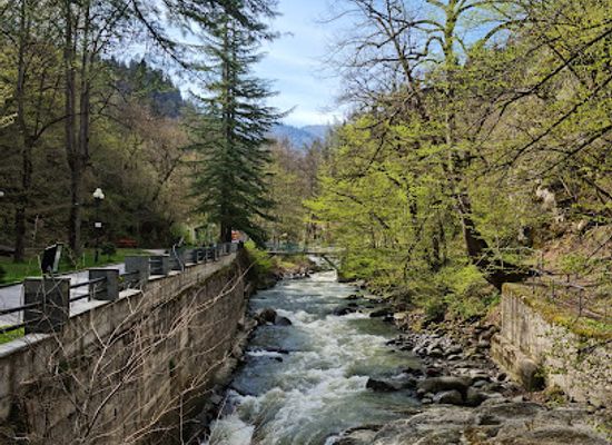 georgia/blood-mountain/attraction/borjomi-central-park
