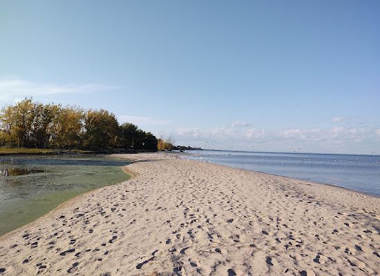 michigan/bay-city/attraction/bay-city-state-park