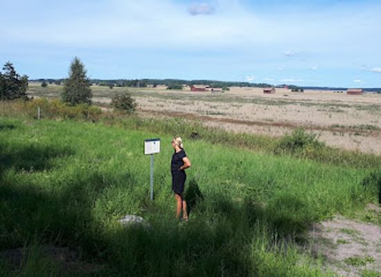 sweden/narke/landmark/mora-stones