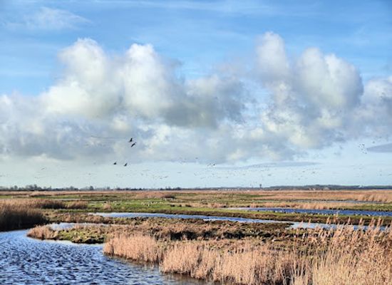 belgium/blankenberge/attraction/kijkhut-gruto