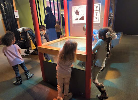 canada/winnipeg/exchange-district/attraction/science-gallery-at-the-manitoba-museum
