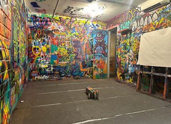 new-york/new-york-metropolitan-area/attraction/graff-tours