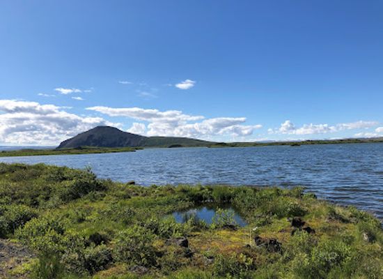 iceland/northeastern-region/attraction/sigurgeir-s-bird-museum