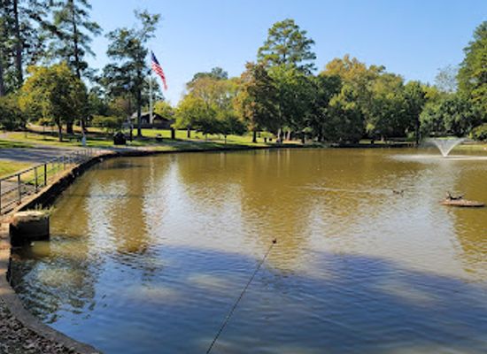 texas/longview/attraction/teague-park