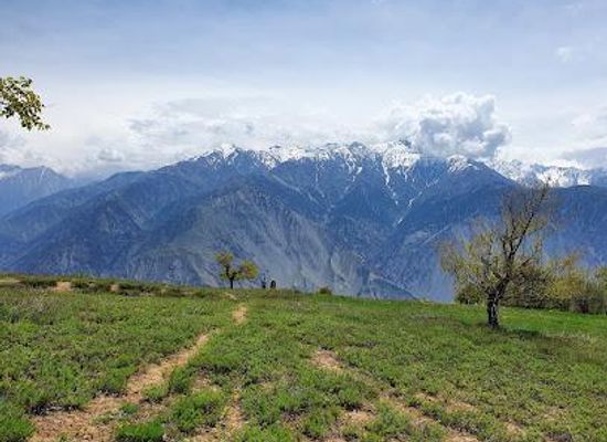 pakistan/chitral/attraction/chitral-gol-national-park