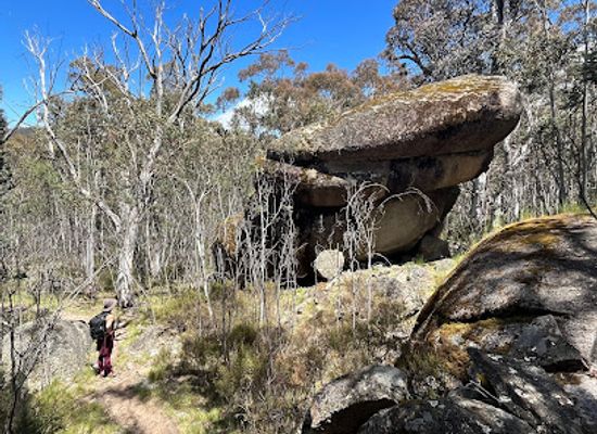 australia/mount-kosciuszko/attraction/waterfall-walking-track
