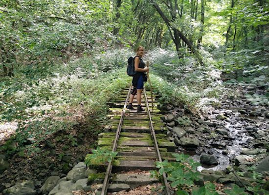 hungary/central-hungary/attraction/kemence-forest-museum-railway