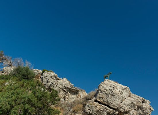 greece/samos/attraction/glypto-elafi