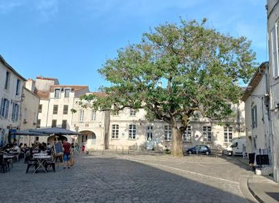 france/la-rochelle/attraction/place-de-la-fourche