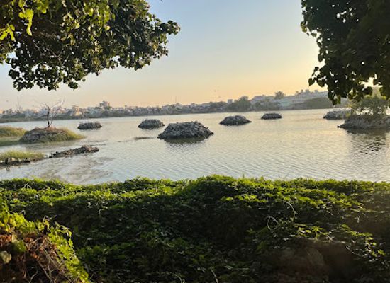 india/northern-plains/attraction/porbandar-bird-sanctuary