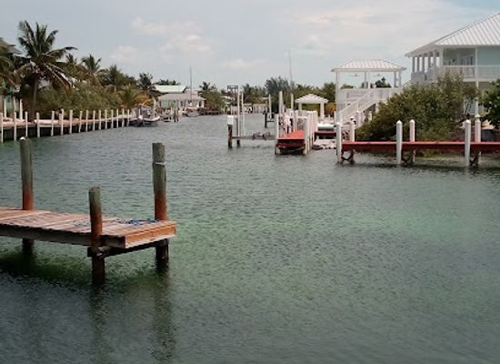 the-bahamas/bimini-islands/attraction/browns-marina