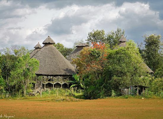 kenya/kitale/attraction/kitale-nature-conservancy