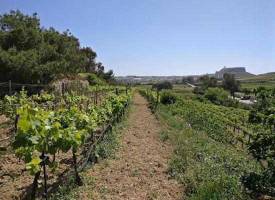 malta/qawra/attraction/ta-mena-estate