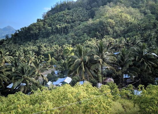 philippines/soccsksargen/attraction/tupi-tarsier-sanctuary