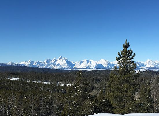 wyoming/bridger-teton-national-forest/attraction/jackson-hole-s-continental-divide-dogsled-adventures