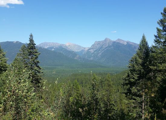 montana/the-cabinet-mountains/attraction/ross-creek-cedars-scenic-area