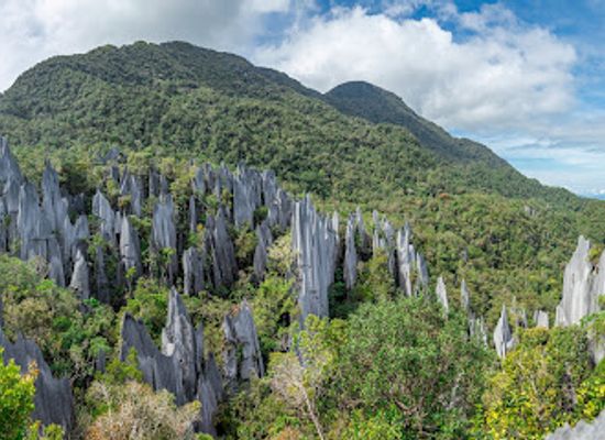 malaysia/central-region/attraction/pinnacles