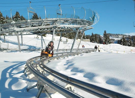 wyoming/snow-king-mountain-resort/attraction/cowboy-coaster-at-snow-king-mountain