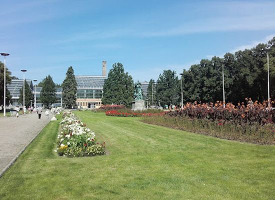 poland/greater-poland/attraction/poznan-palm-house