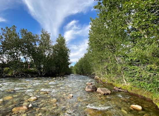 montana/the-beartooth-mountains/attraction/rotary-park