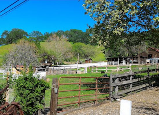 california/walnut-creek/attraction/old-borges-ranch