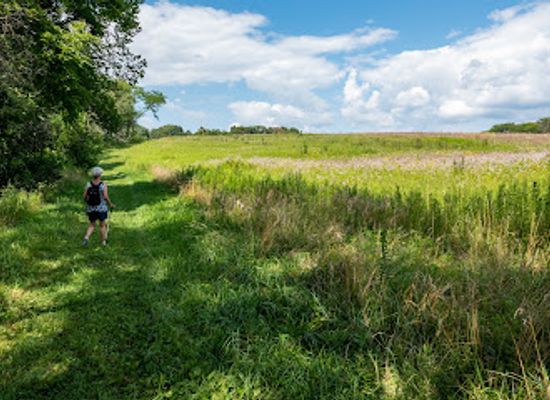 illinois/prairie-state/attraction/dayton-bluffs-preserve