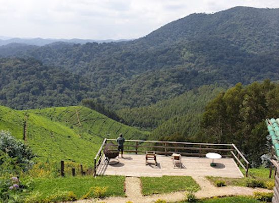 rwanda/cyangugu/attraction/nyungwe-forest-national-park