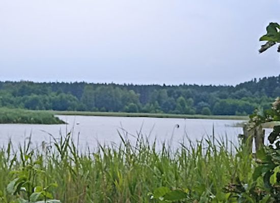 poland/warmia/attraction/lake-gim