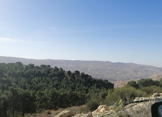 jordan/al-karak/attraction/jubilee-forests